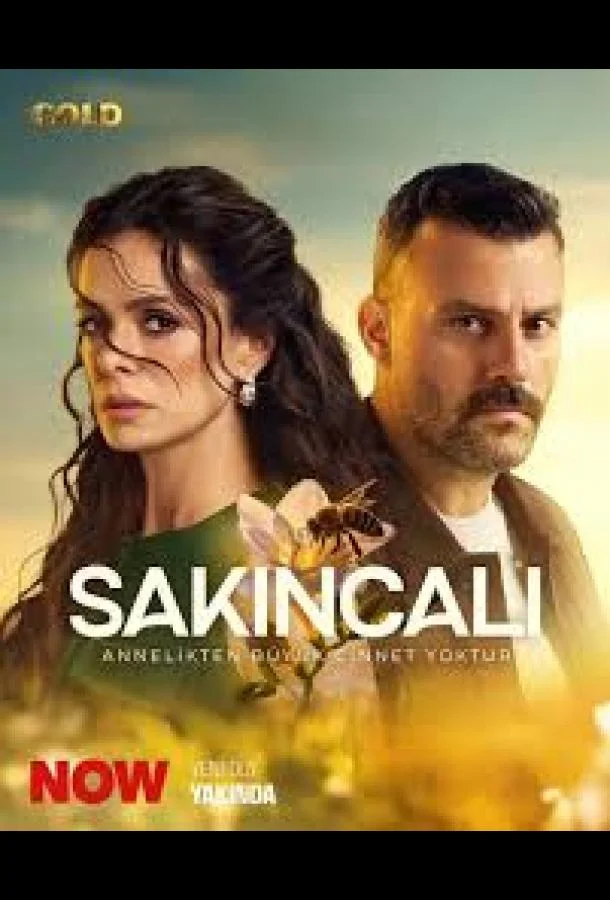 Смотреть Сериал Опасная / Подозрительный(2025) бесплатно